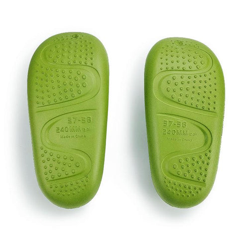 Premium Dinosaur Slides - EvoShark